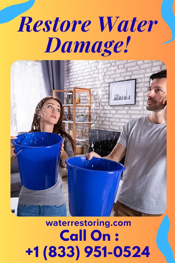 water restoration Lightning Storm Damage Services Stickleyville