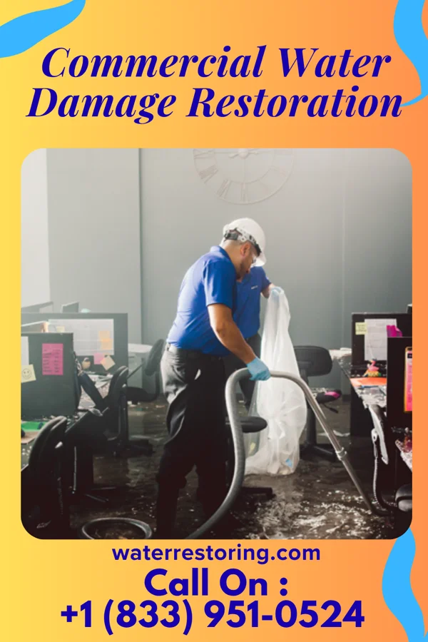 Commercial Water Damage Restoration in Stickleyville, VA