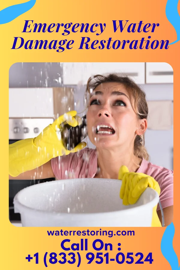 Emergency Water Damage Restoration in Stickleyville, VA