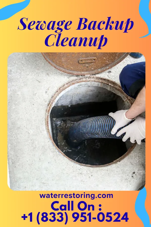Sewage Backup Cleanup in Stickleyville, VA