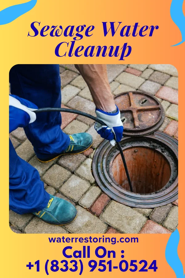Sewage Water Cleanup in Stickleyville, VA