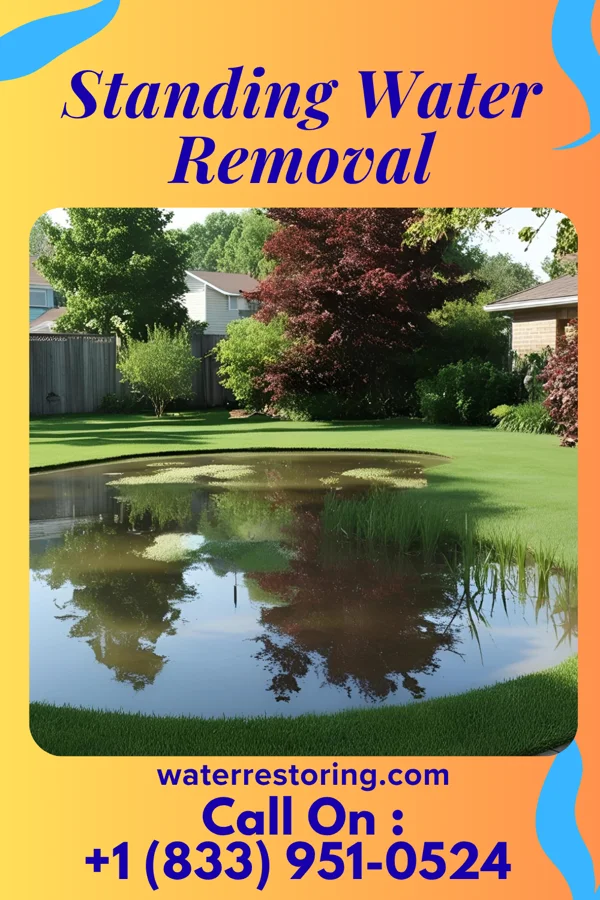 Standing Water Removal in Stickleyville, VA